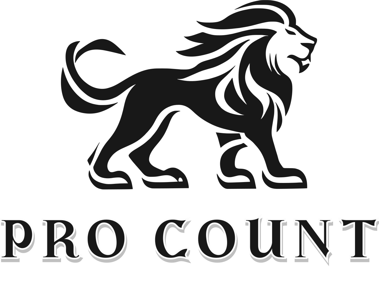 PRO COUNT LLC